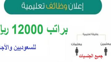 وظائف تعليمية براتب 12000 ريال للسعوديين والمقيمين داخل وخارج المملكة رجال ونساء