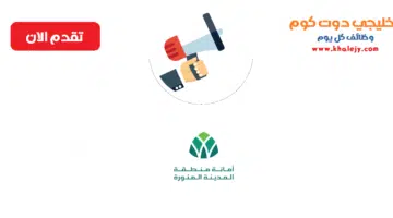 إمارة منطقة المدينة المنورة