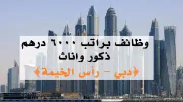 وظائف براتب 6000 درهم