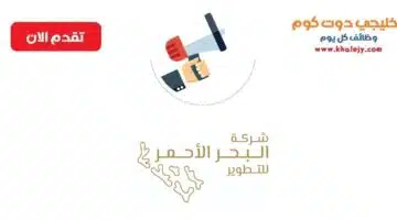 وظائف للرجال والنساء للبكالوريوس فما فوق