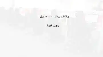 وظائف براتب 8000