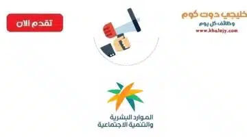وظائف عن بعد للجنسين لحملة كافة المؤهلات