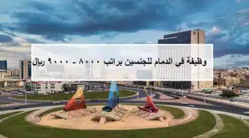 وظيفة في الدمام