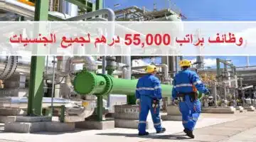 وظائف شركة بتروكيماويات دولية في ابوظبي براتب 55000 درهم 1