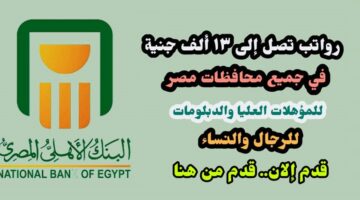 برواتب تصل إلى ١٣ ألف جنية وظائف البنك الأهلي المصري لحديثي التخرج والدبلومات