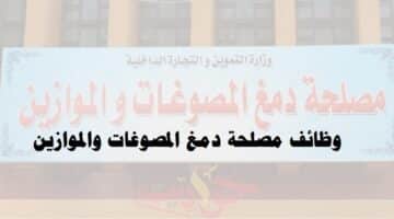 الحكومة المصرية تعلن عن وظائف مصلحة دمغ المصوغات والموازين 2022
