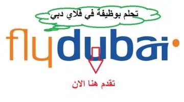 طيران دبي
