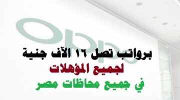 وظائف شركة أوبو 2022 ( OPPO Egypt ) برواتب تصل 16 الآف جنية
