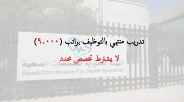 هيئة التخصصات الصحية