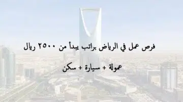 وظائف الرياض 1