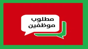 مطلوب موظفين