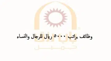 وظائف باب رزق