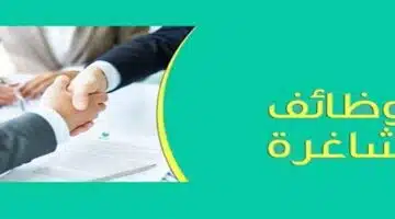 وظائف شركة العالمية للتوريدات الكهربائية1