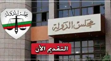 مجلس الدولة