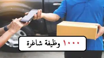 مندوب توصيل