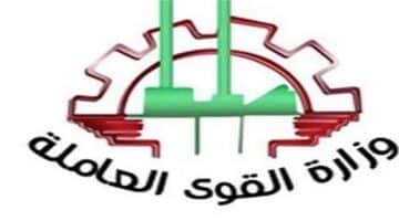 وزارة القوى العاملة المصرية تعلن عن 1000 فرصة عمل للشباب في جميع التخصصات