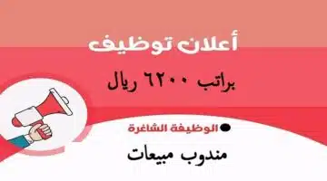 وظائف السعودية 2022