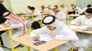 وظائف قطاع التعليم والإدارة