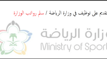 وزارة الرياضة توفر وظائف إدارية ومالية وقانونية وتقنية (رجال/نساء)
