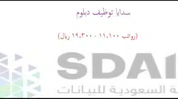 sadaya 2023