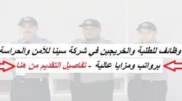 Sina Security and Guarding Company2