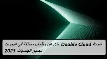 شركة Double Cloud