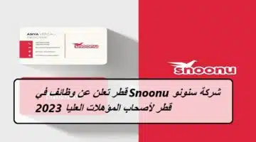 شركة سنونو Snoonu