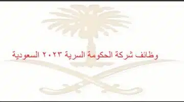 شركة2