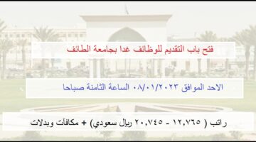وظائف جامعة الطائف 1444 للجنسين (راتب 12.765 – 20.745 ريال سعودي + مكافآت وبدلات)
