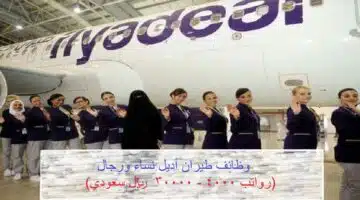 وظائف شركة طيران أديل بجدة