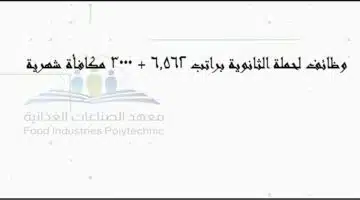 وظائف معهد الصناعات الغذائية