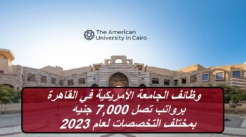 وظائف الجامعة الأمريكية في القاهرة برواتب تصل 7,000 جنيه بمختلف التخصصات لعام 2023