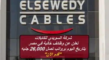Elsewedy cables jobs