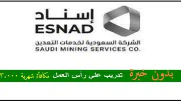 الشركة السعودية لخدمات التعدين إسناد