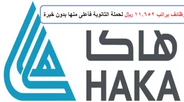 شركة هاكا ارامكو