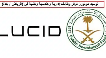 وظائف شركة لوسيد السعودية