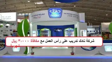 وظائف شركة نادك 1443