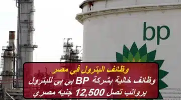 BP Petroleum jobs in Egypt
