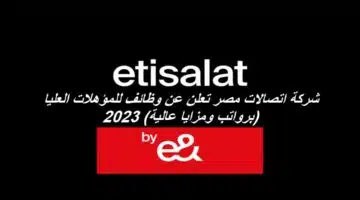 Etisalat Egypt Jobs1