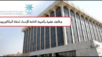 الهيئة العامة للاحصاء وظائف مؤقتة