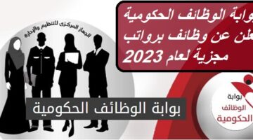 وظائف الحكومة المصرية: بوابة الوظائف الحكومية تعلن عن وظائف برواتب مجزية لعام 2023