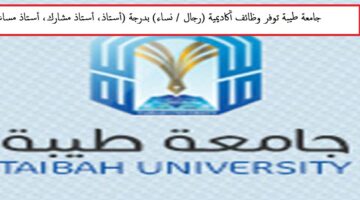 وظائف أكاديمية بجامعة طيبة (رجال / نساء)