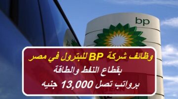 شركة BP للبترول تعلن عن وظائف بقطاع النفط والطاقة في مصر برواتب تصل 13,000 جنيه (الشروط والتقديم من هنا)