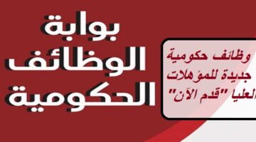 بوابة وظائف الحكومة المصرية تعلن عن وظائف حكومية جديدة للمؤهلات العليا “قدم الآن”