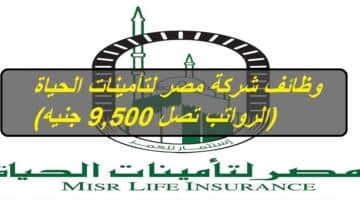وظائف شركة مصر لتأمينات الحياة بمختلف التخصصات (الرواتب تصل 9,500 جنيه)