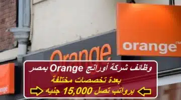 Orange jobs in Egypt