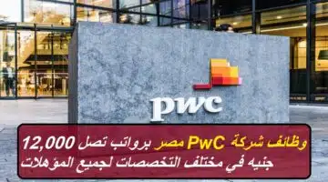 PwC Egypt jobs