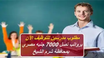 Teaching jobs in language schools