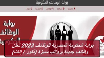 بوابة الحكومة المصرية للوظائف 2023 تعلن وظائف جديدة برواتب مميزة (ذكور / إناث)