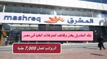 بنك المشرق يعلن وظائف للمؤهلات العليا في مصر (الرواتب تصل 7,000 جنيه)